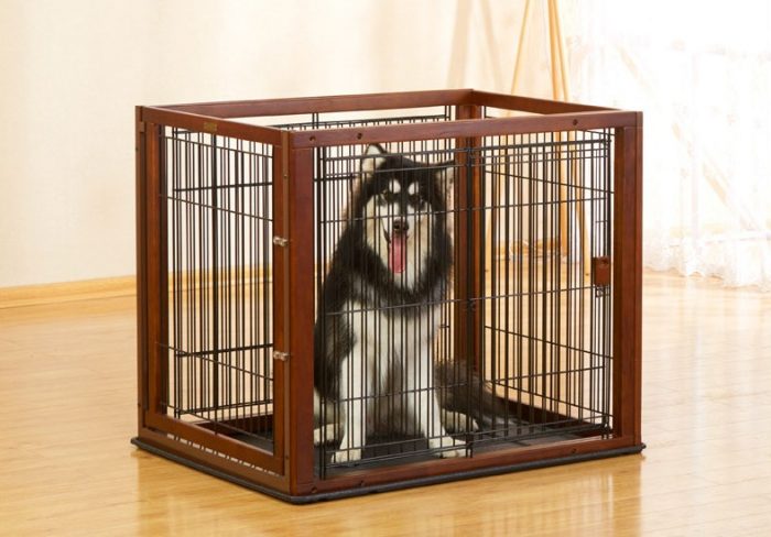 PB026-Expandable-Extra-Large-Dog-Crate